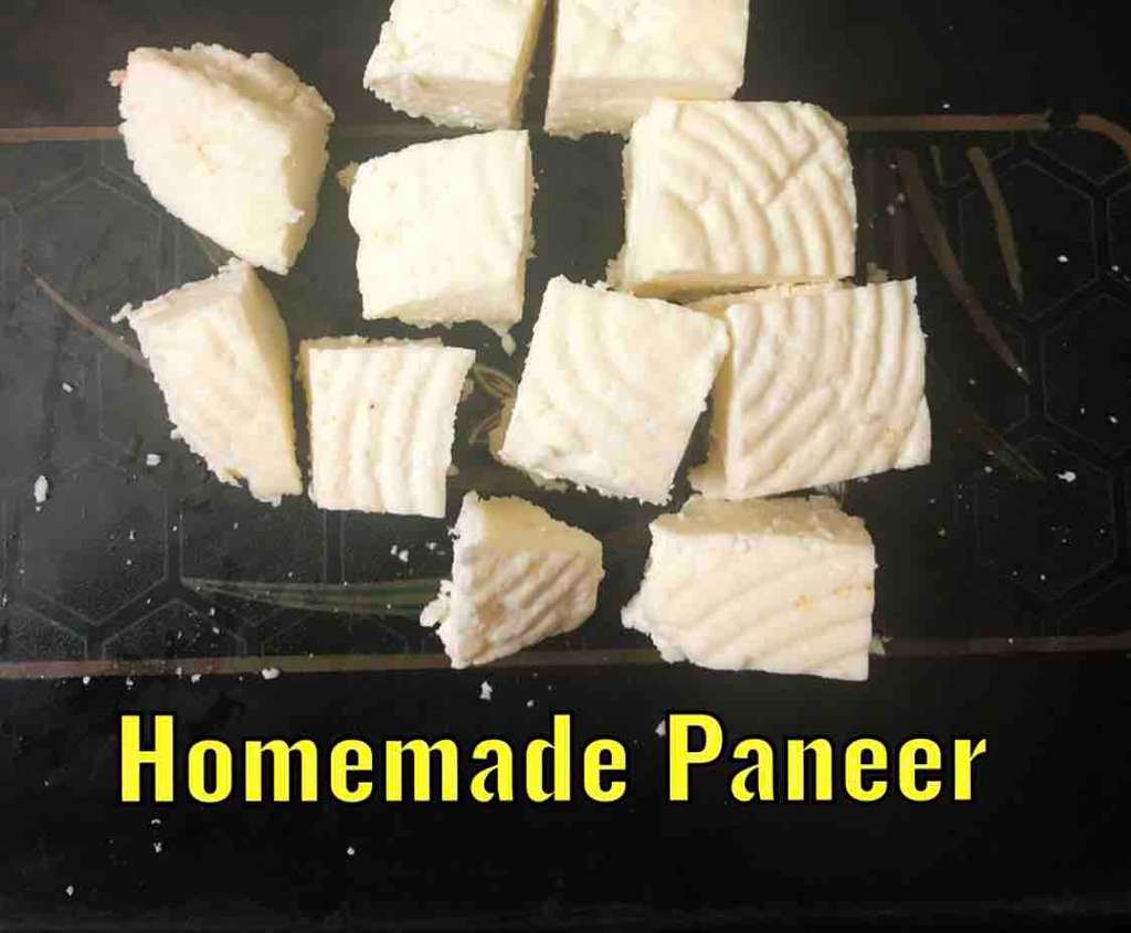 Homemade Paneer (Cottage Cheese)