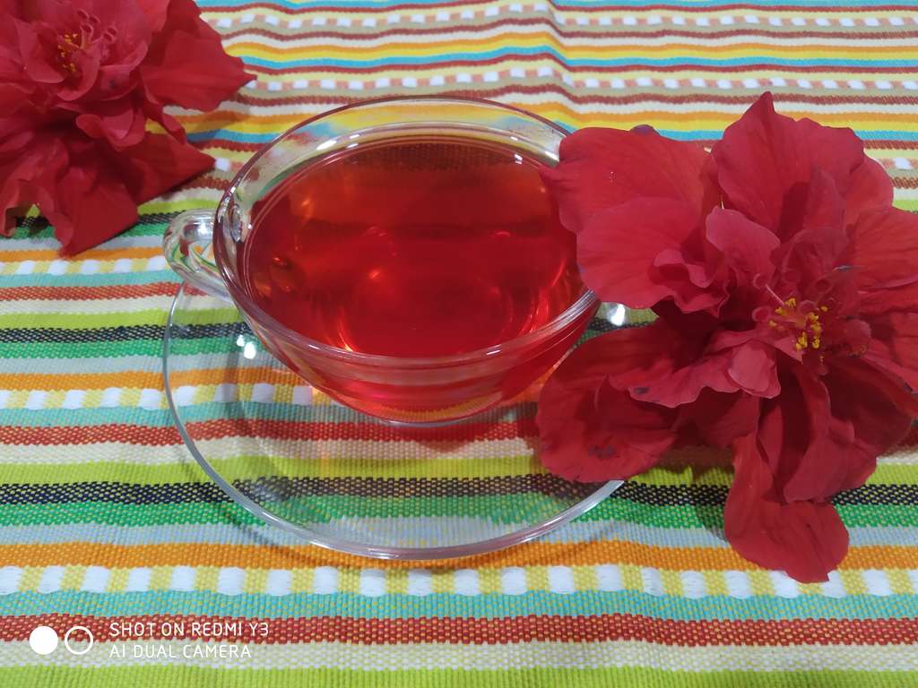 🌺 Hibiscus tea 🌺