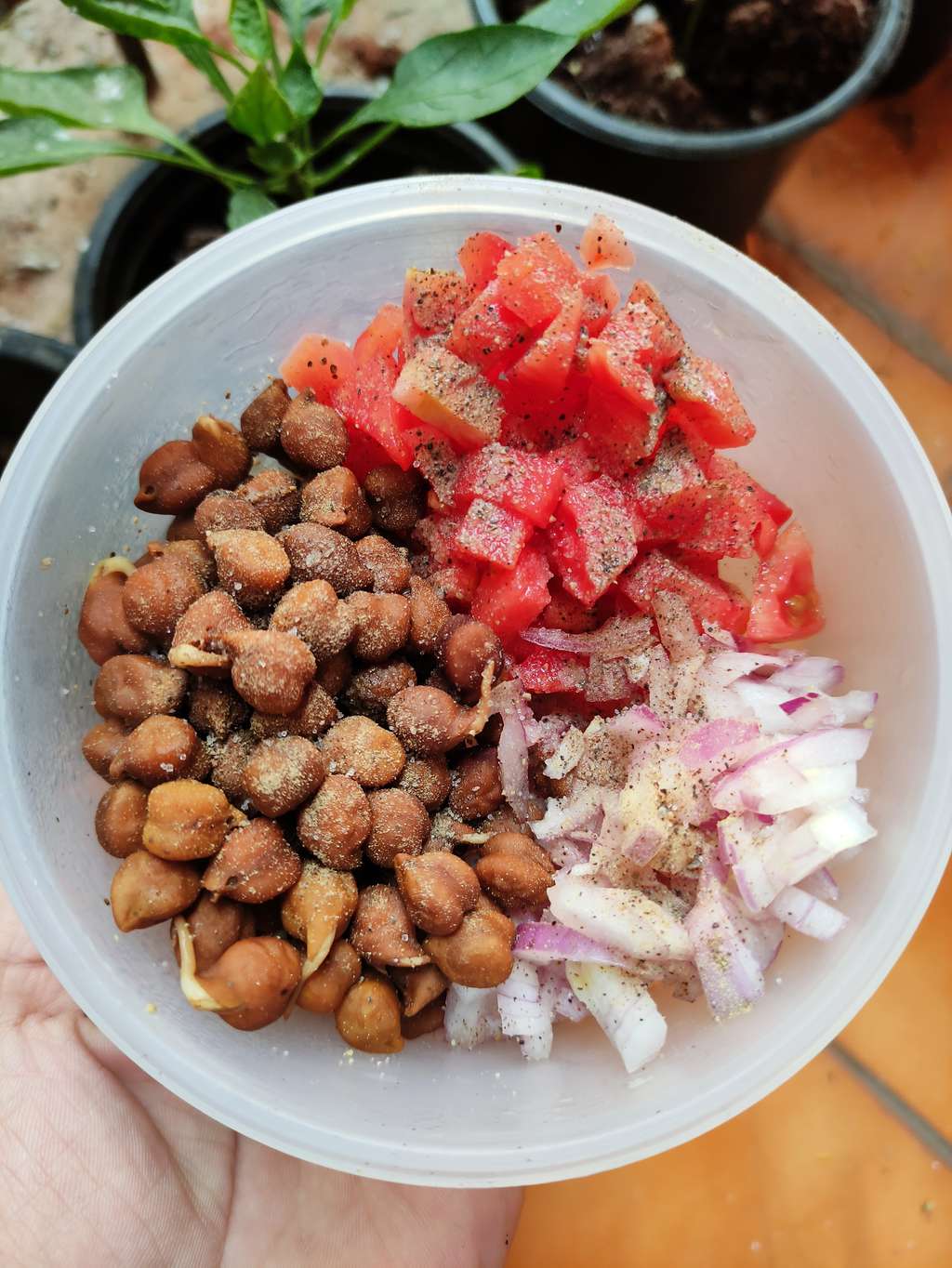 Chana Chaat (High protein & High fibre)