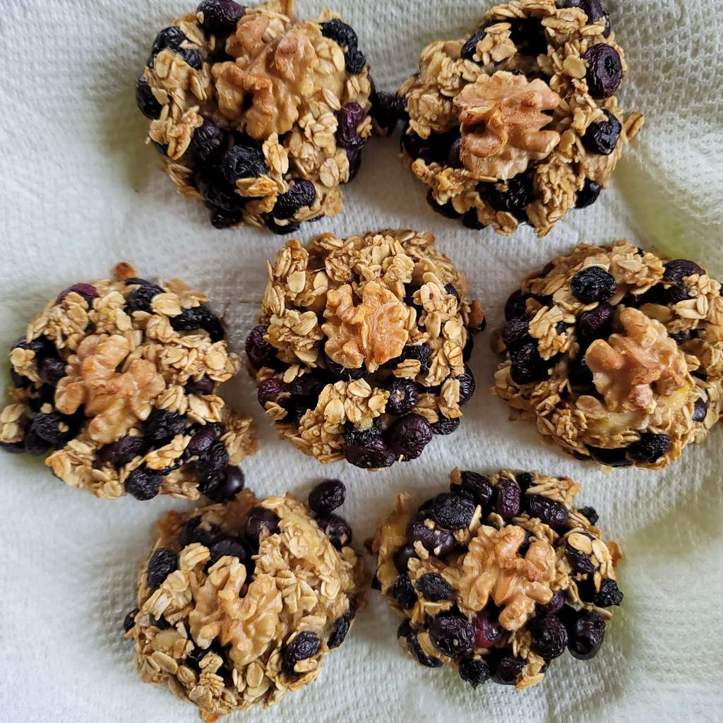 Oat Muffins