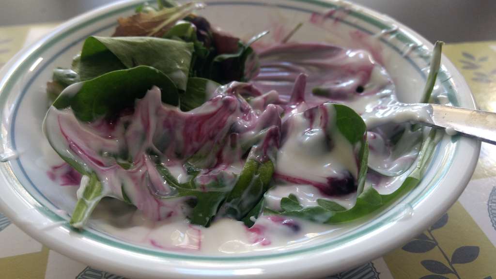 Yogurt and blueberries