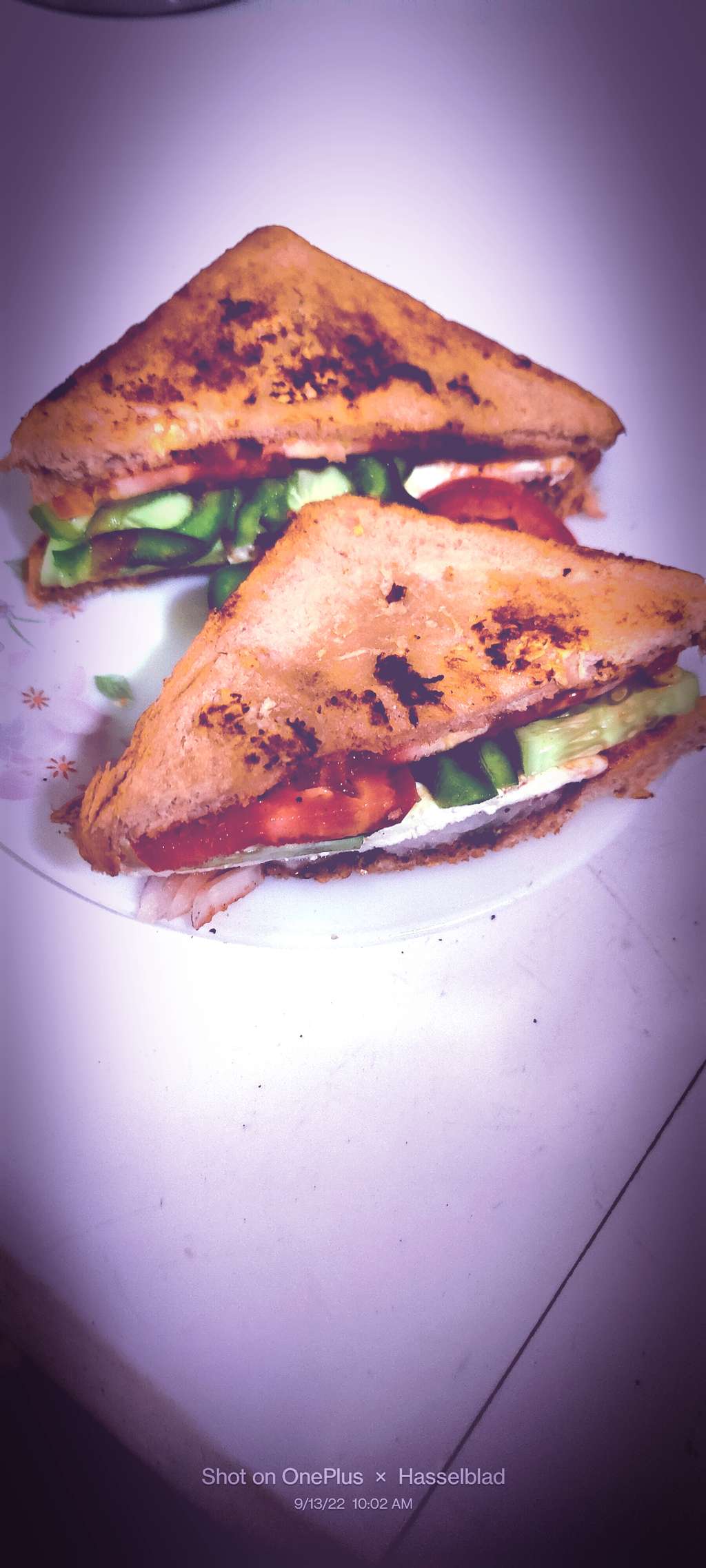 Vege Paneer Sandwich 