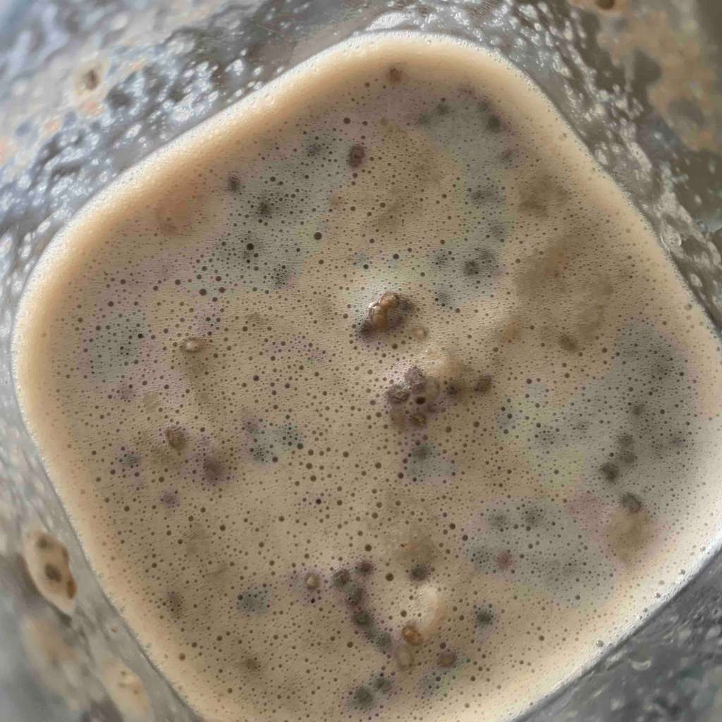 Apple and oats smoothie 