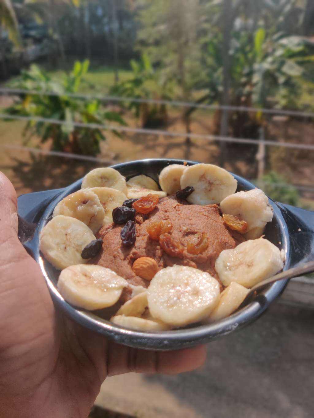 Soya Choco Whey Halwa