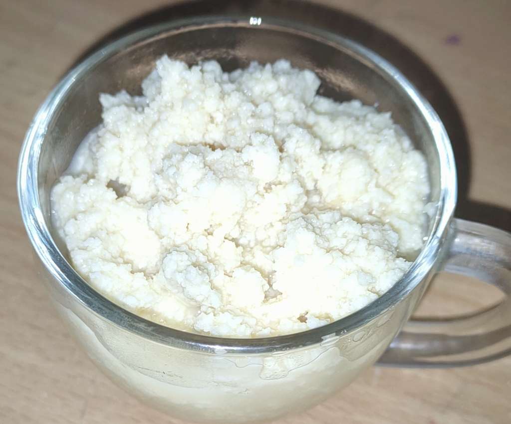 Heigh protien junnu(milk desert)