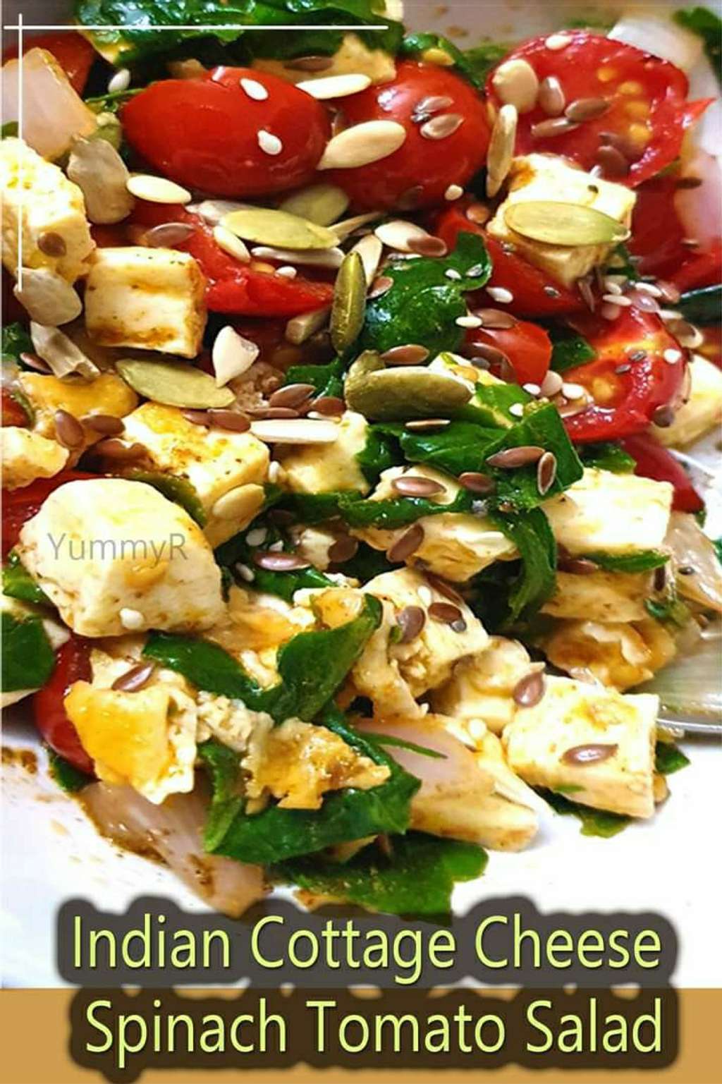 Indian Cottage Cheese Spinach Tomato Salad 