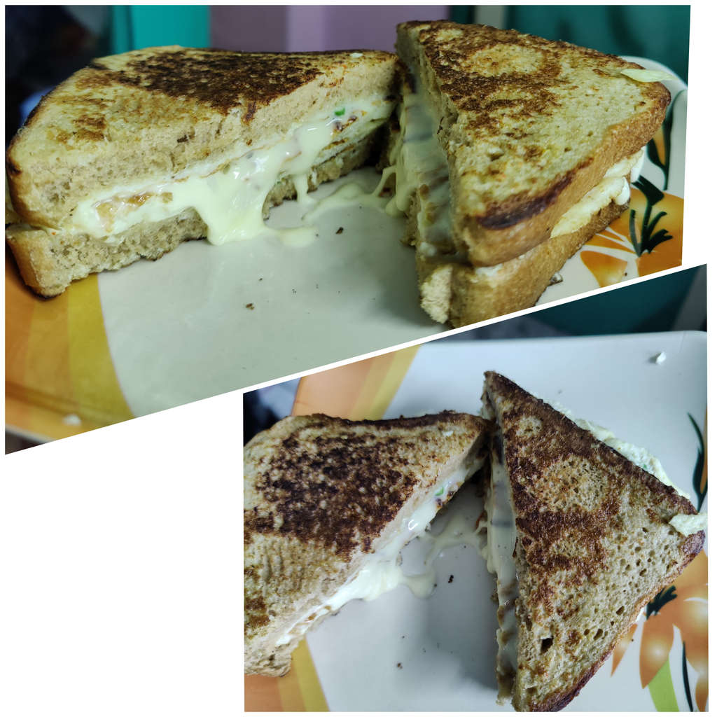 Cheese Omlette Sandwich