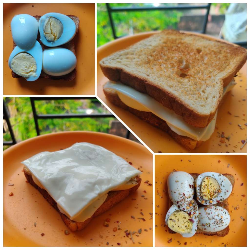 Egg Cheese Sandwich(without oil)