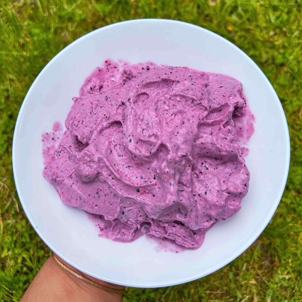 Protein Rich Blueberry Banana Nice Cream