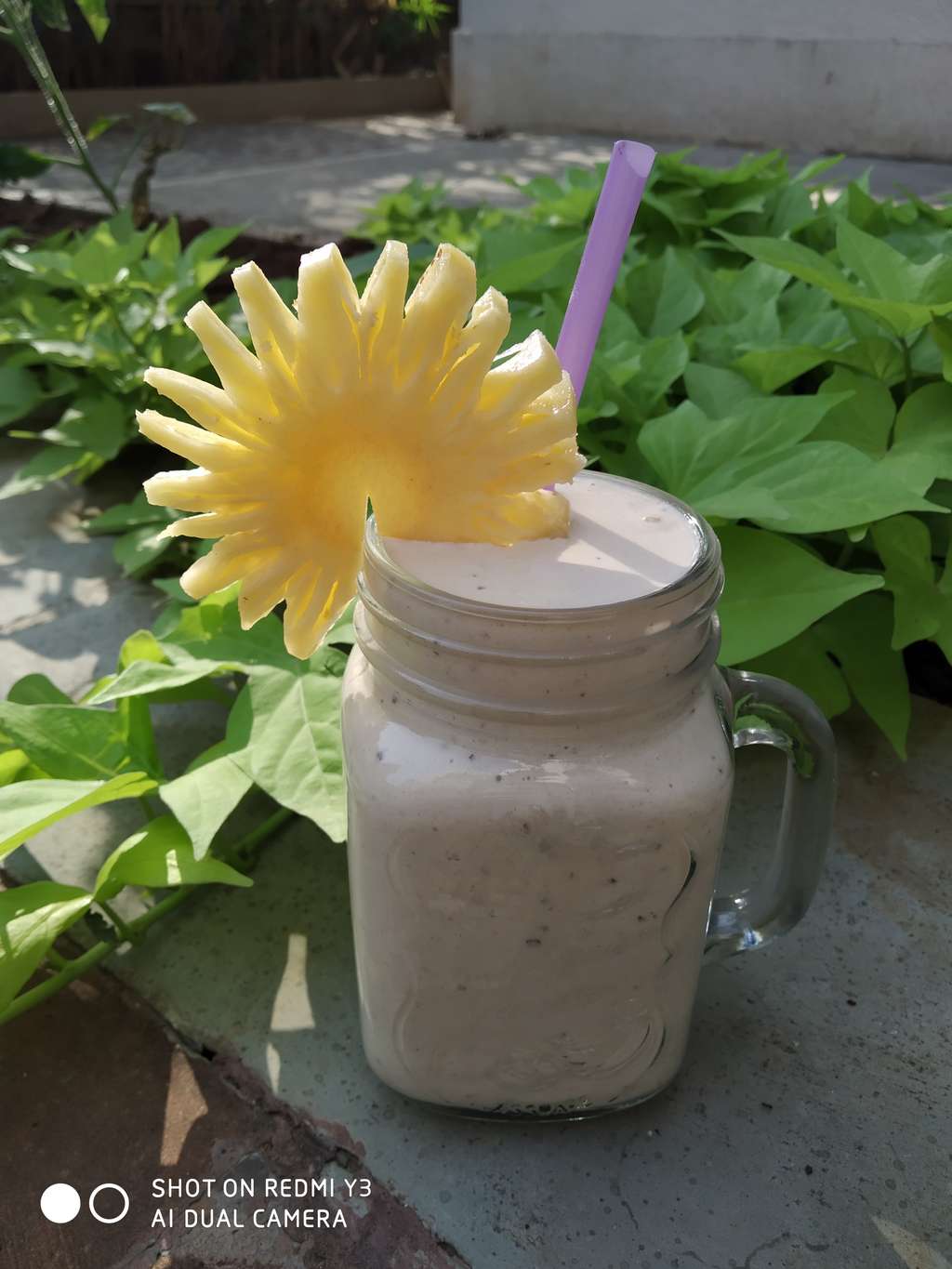 Pina Colada Protein Smoothie