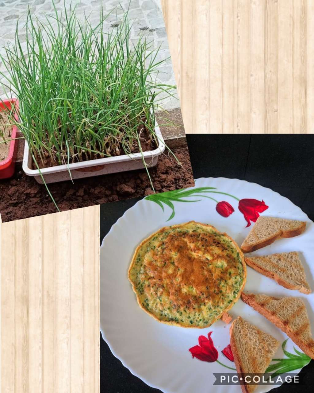 Garlic Omelette (home grown) 