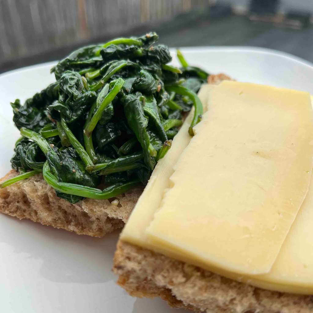 spinach cheese sandwich