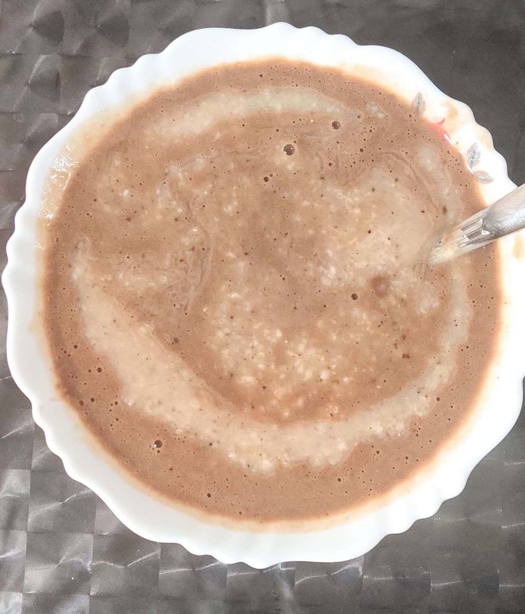 Protein Oat meal