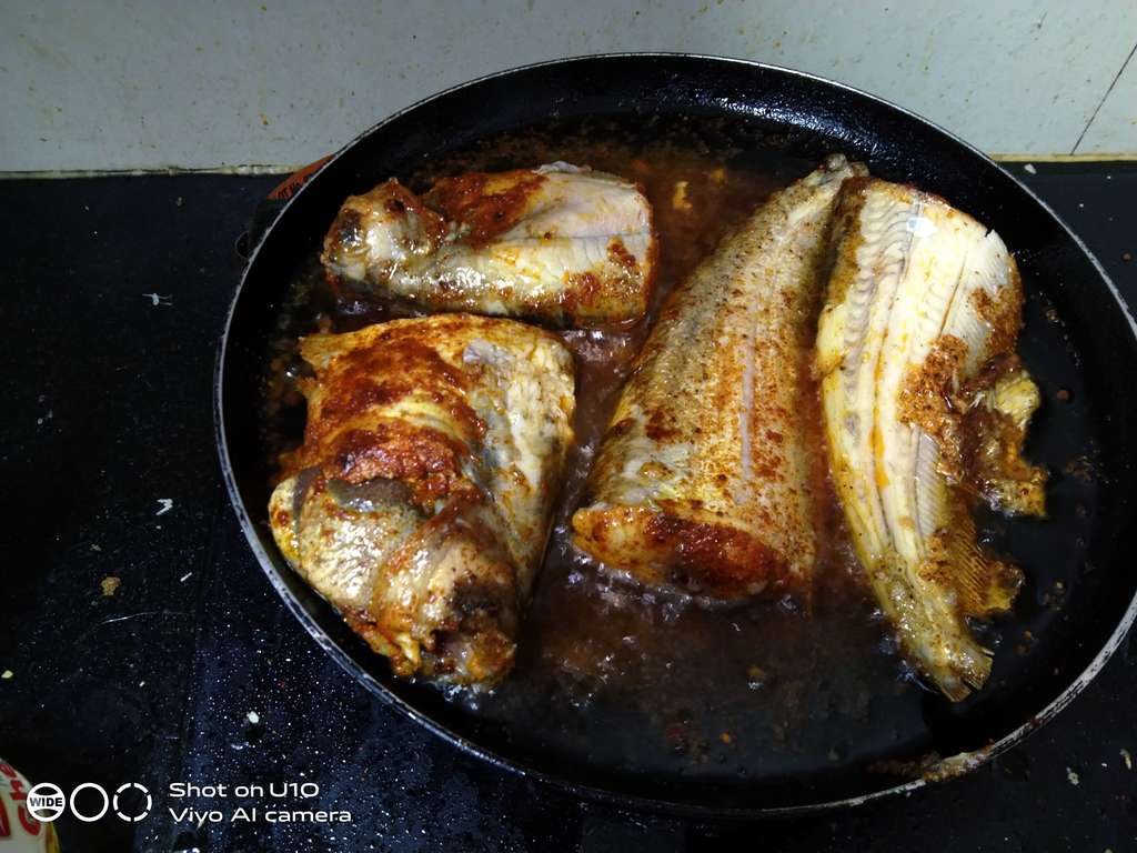 Pabda fry