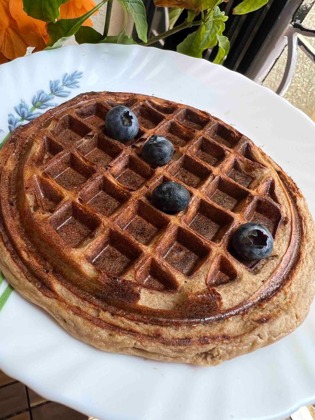 Crispy Protein Waffles/Pancake