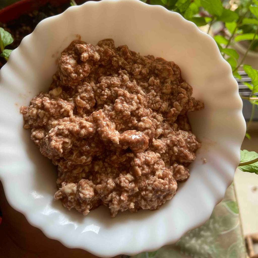 Protein kheer