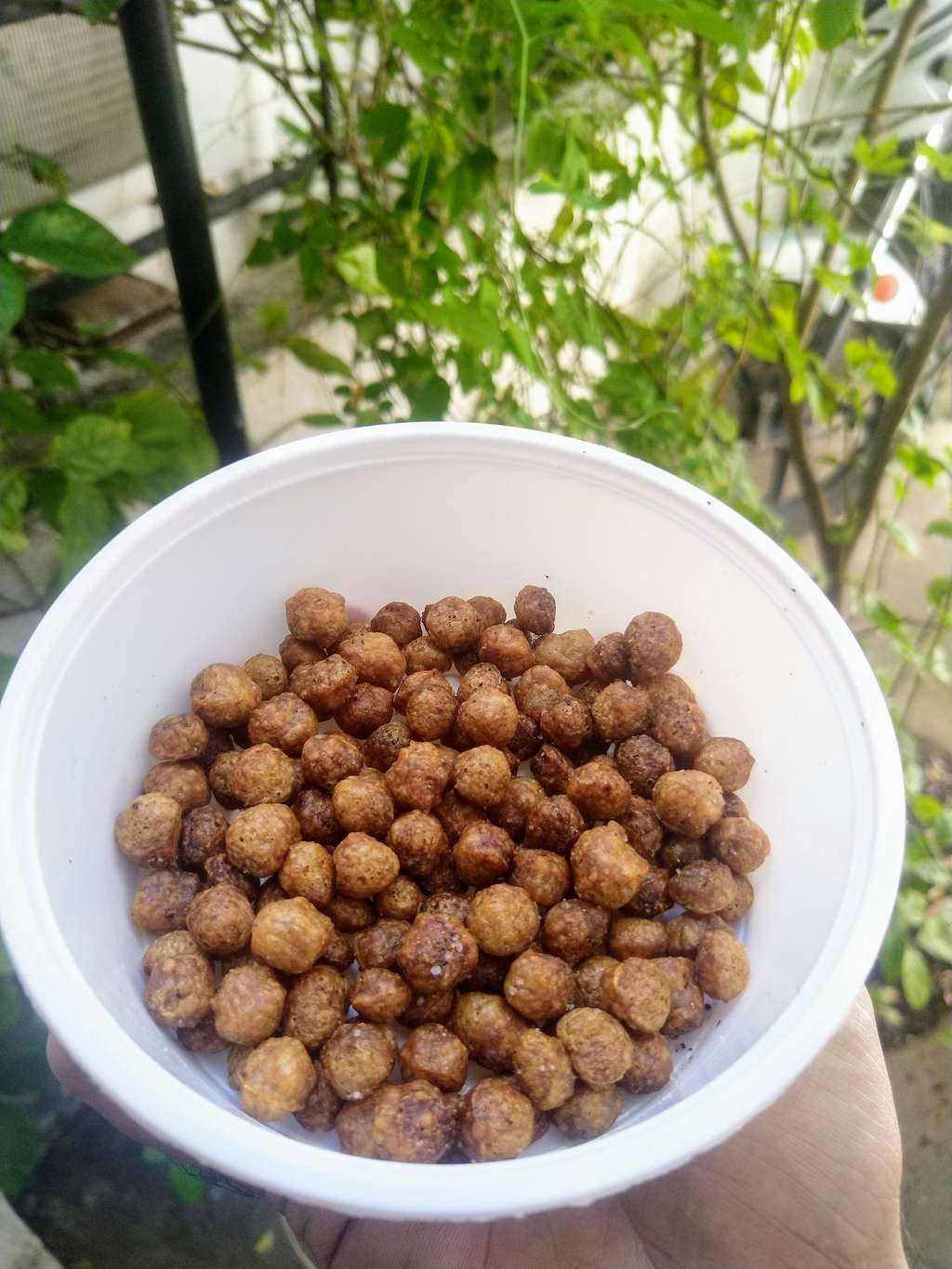 Veg Protein Balls