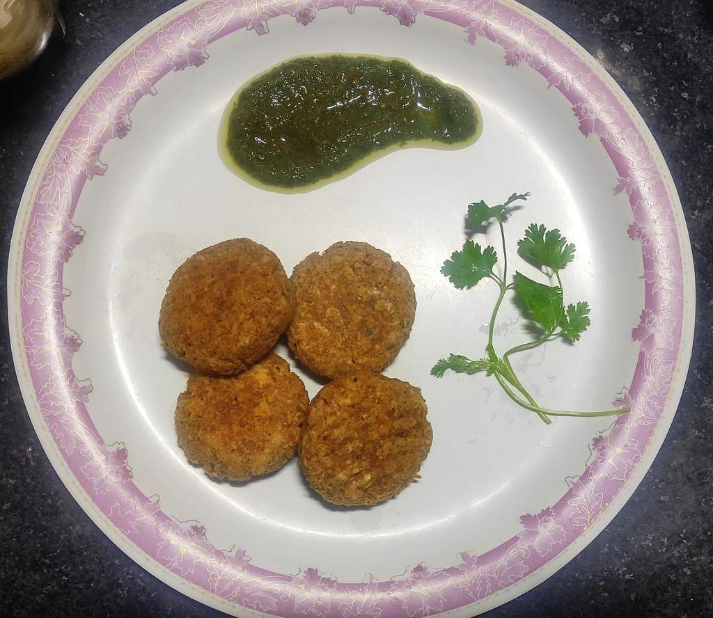 Protein kabab 
