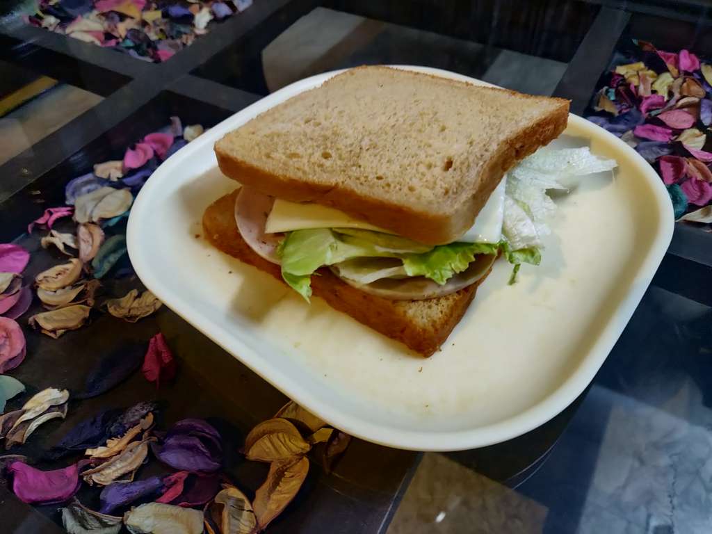Chicken salami cheese sandwich 🌸