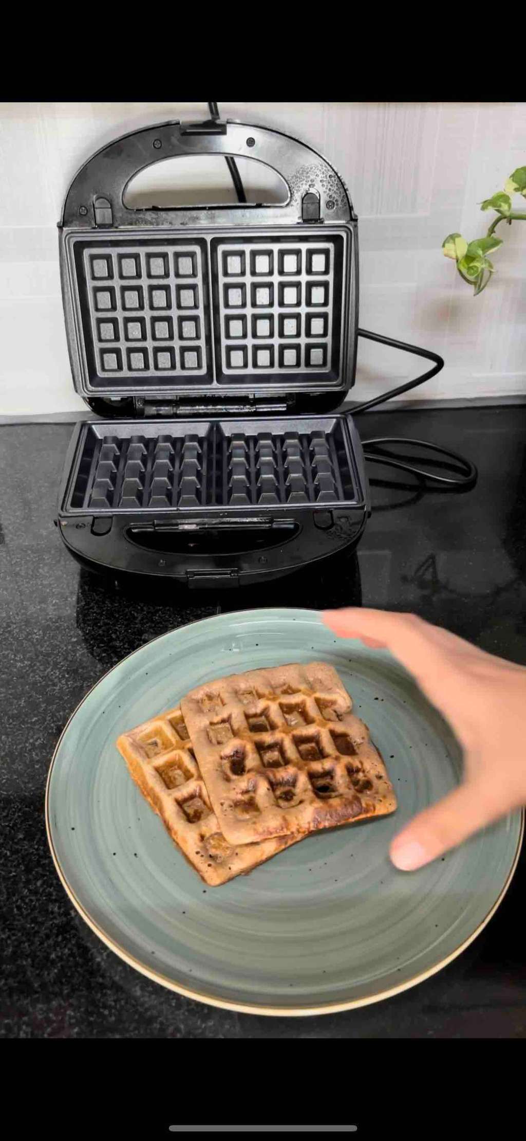 high Protein Waffle