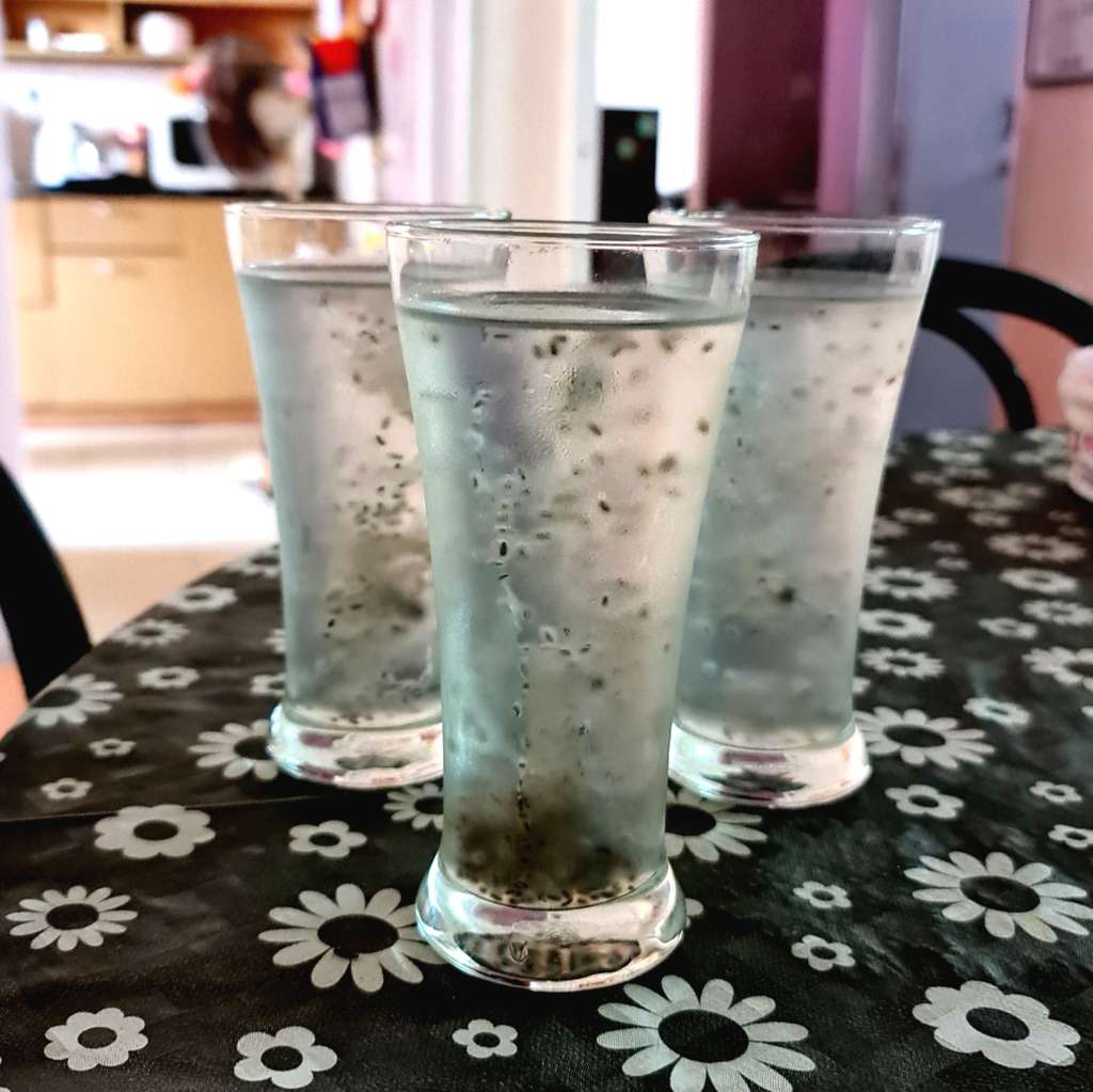 Chia-Coconut Water Summer Chill