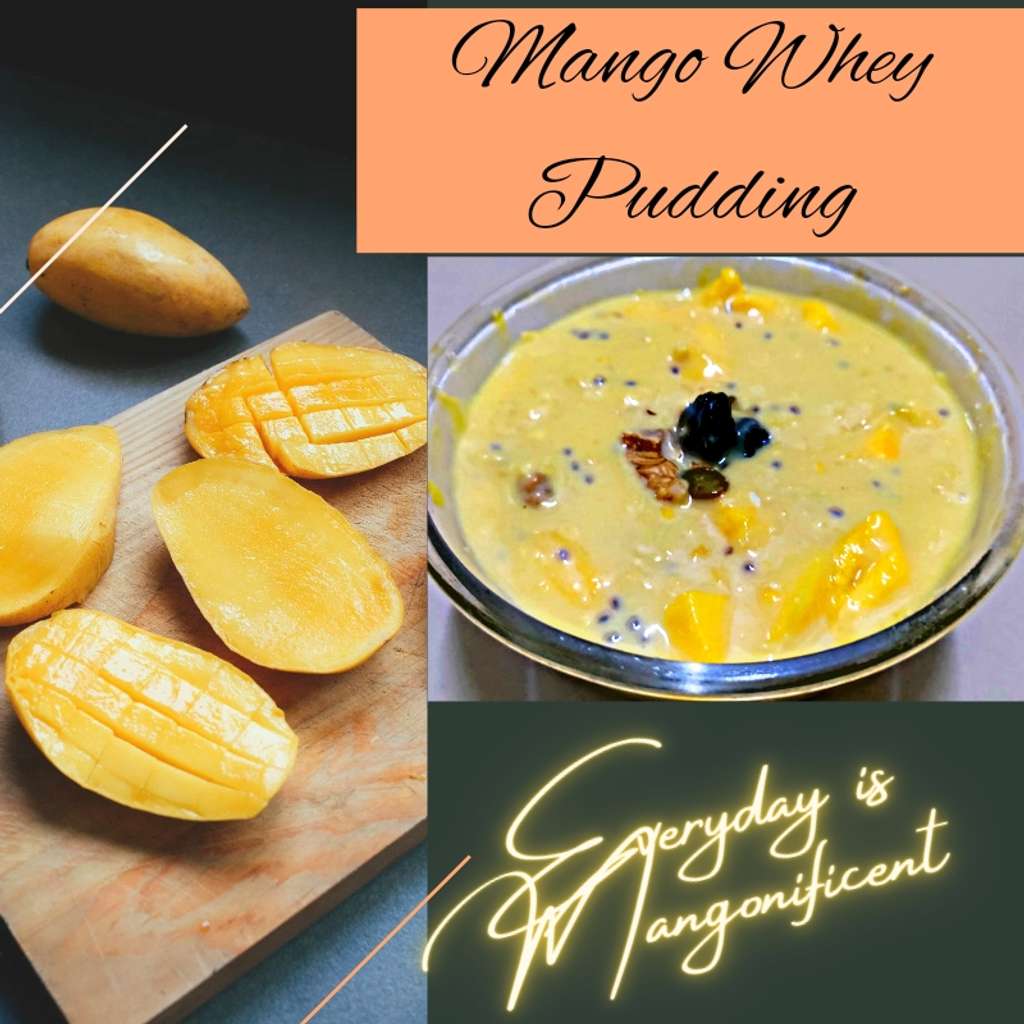 Mango Whey Pudding