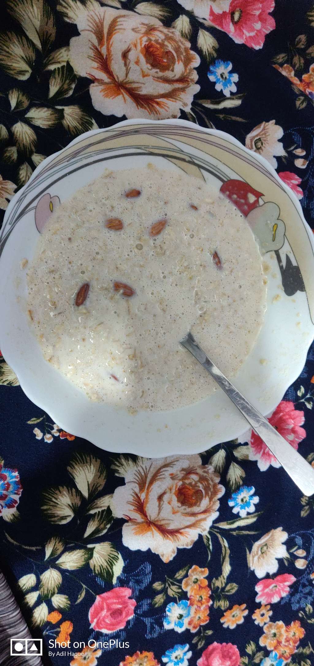 breakfast with oats,nuts and whey