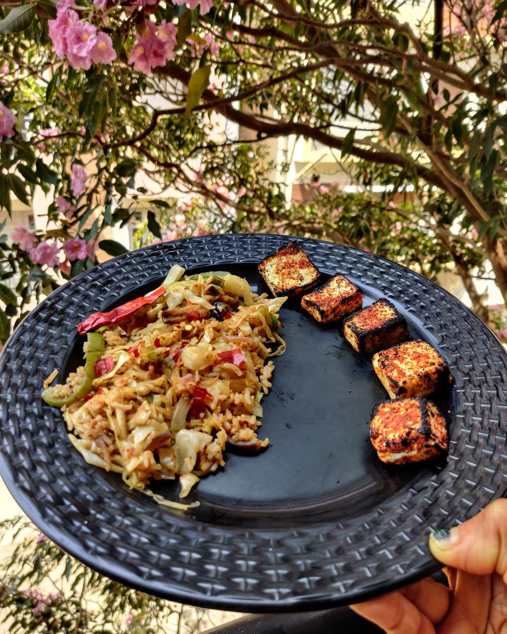 Rice with Veggies & Cheese with Paneer Barbeque
