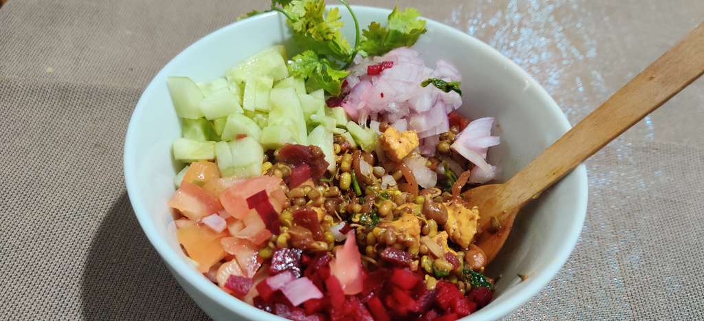 Sprouts salad bowl 
