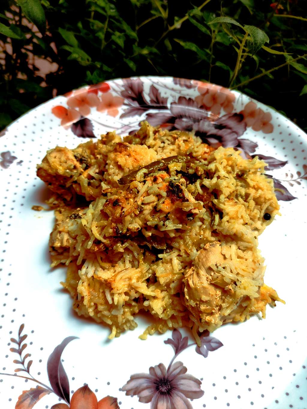 Chicken Biryani (High Protein)