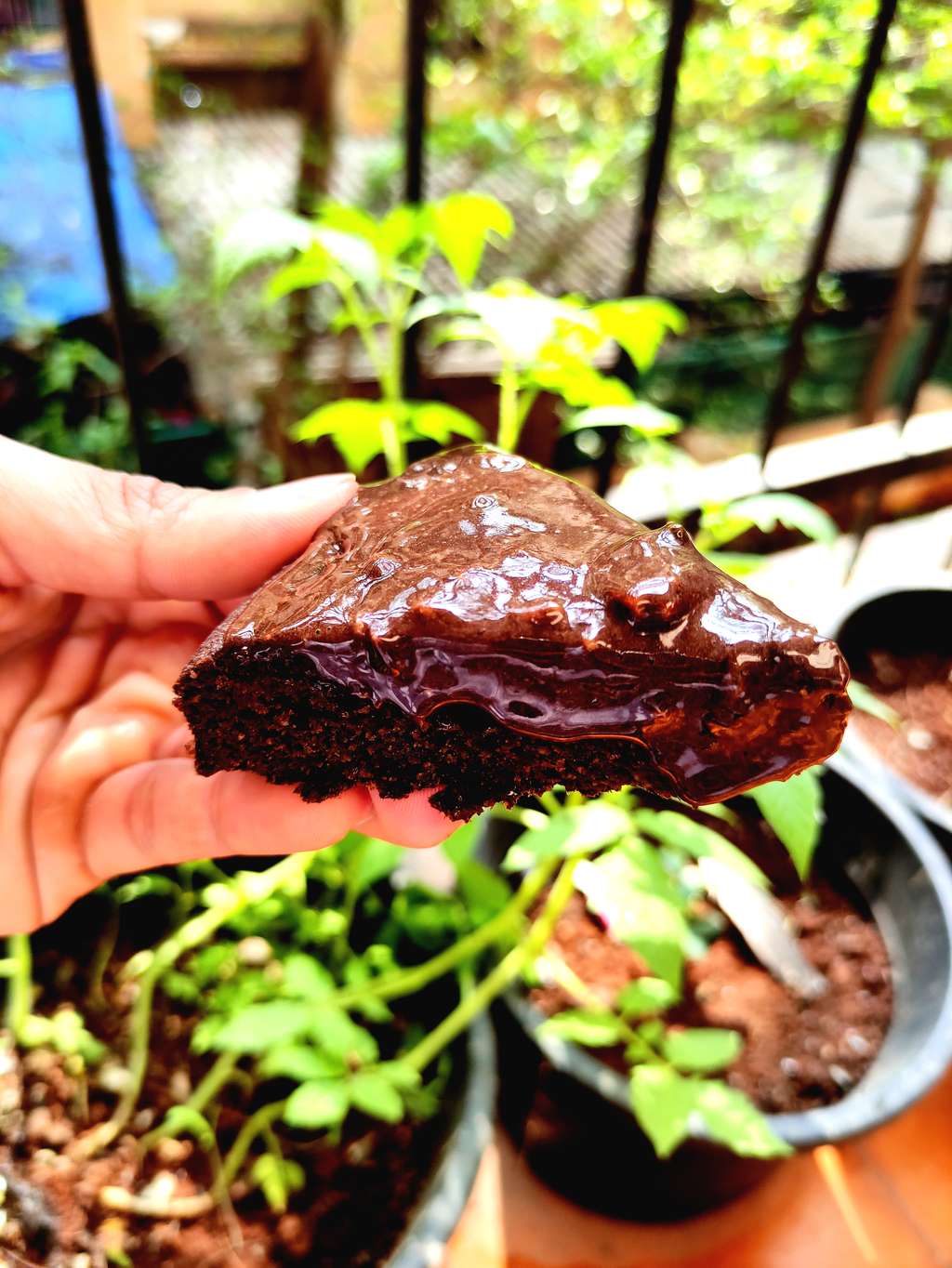 Chocolate Cake With High Protein Frosting!