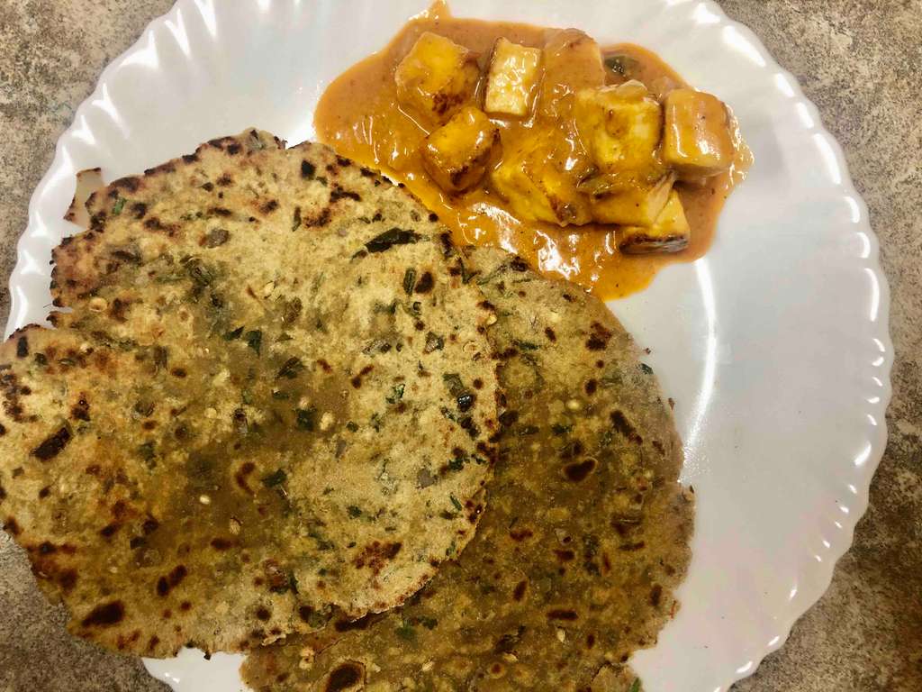 Mint Coriander Soya Paratha