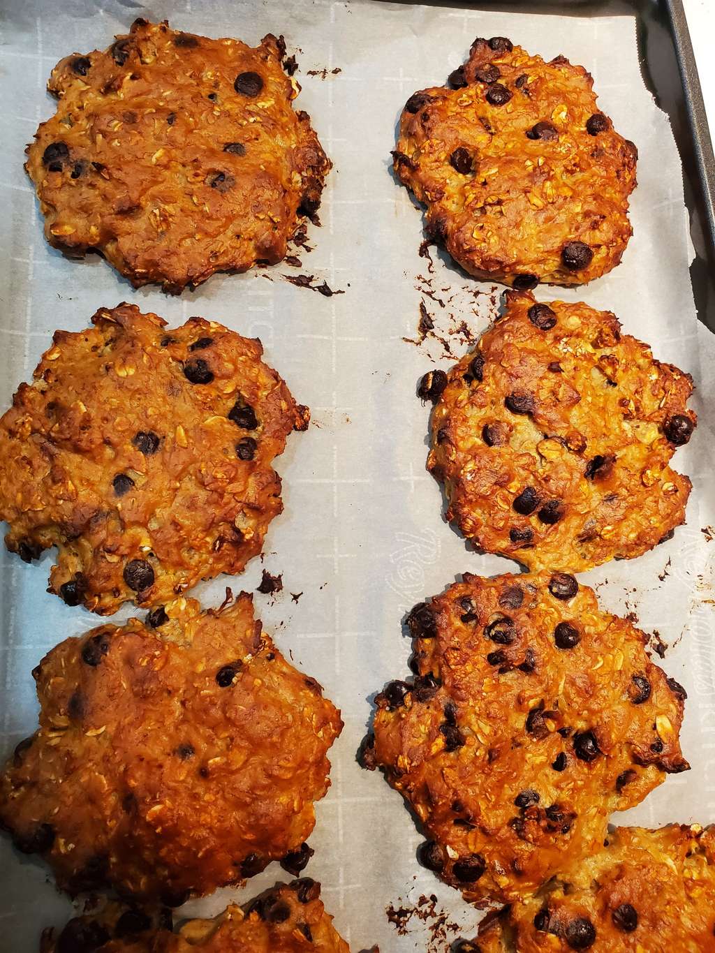 Protein Cookies