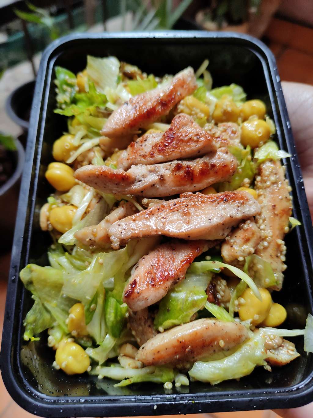 Chickpea Quinoa and Chicken Salad