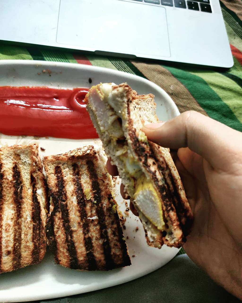 Chicken breast cheese sandwich 🤗
4 pieces
P- 90g, F- 20gm, C- 15gm
Total kcal- 580kcal
I prefer taking it as breakfast meal
