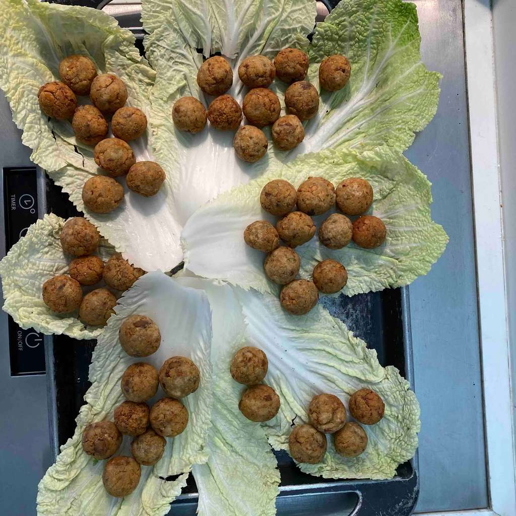 Arancini Balls with Soya and Mozerella