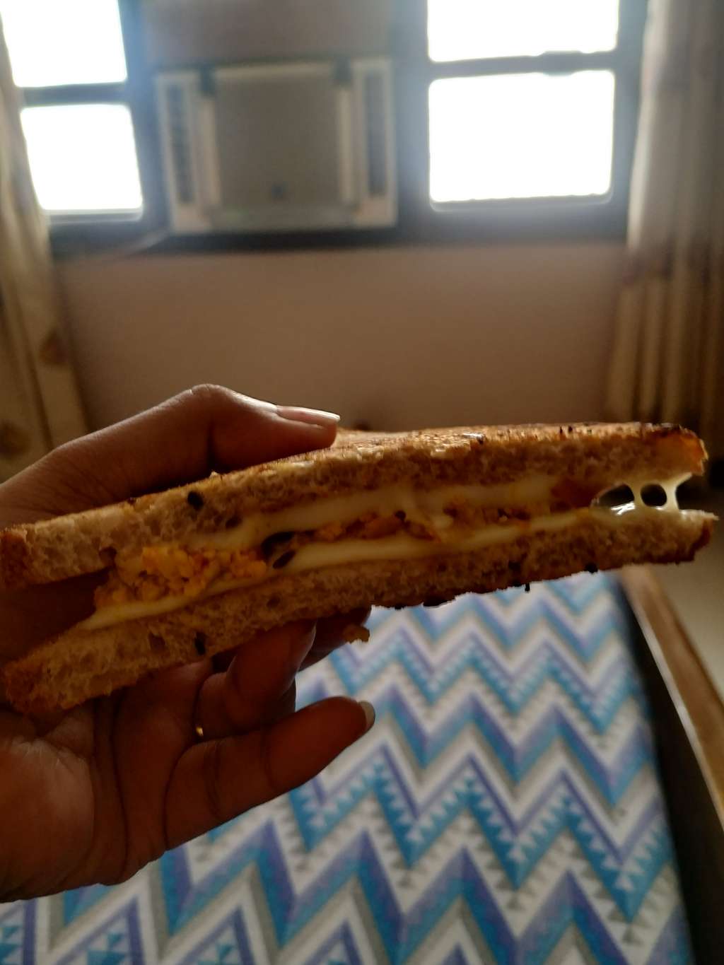 Paneer Junglee Sandwich