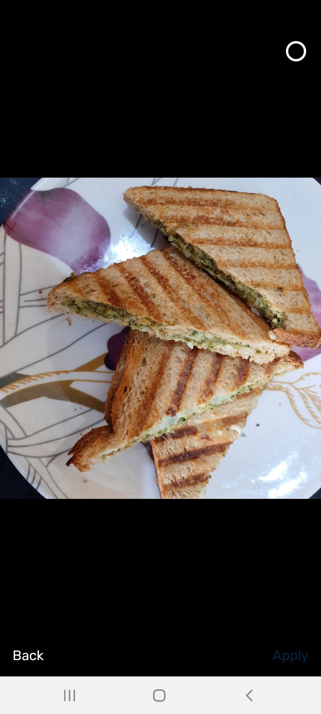 Brocoli Cabbage Cheese Sandwich - Protien Sandwich