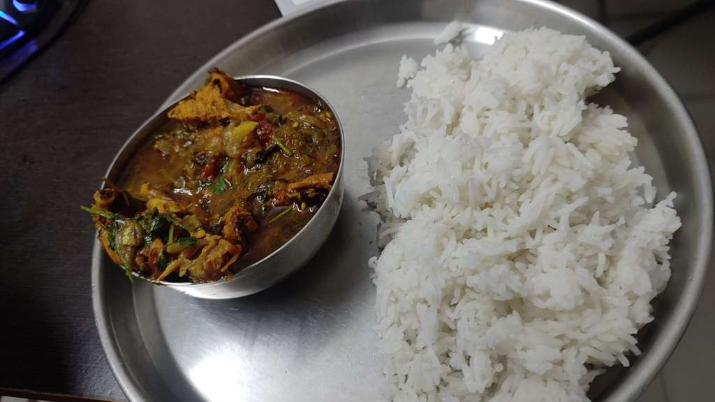 Rice and Chicken curry 