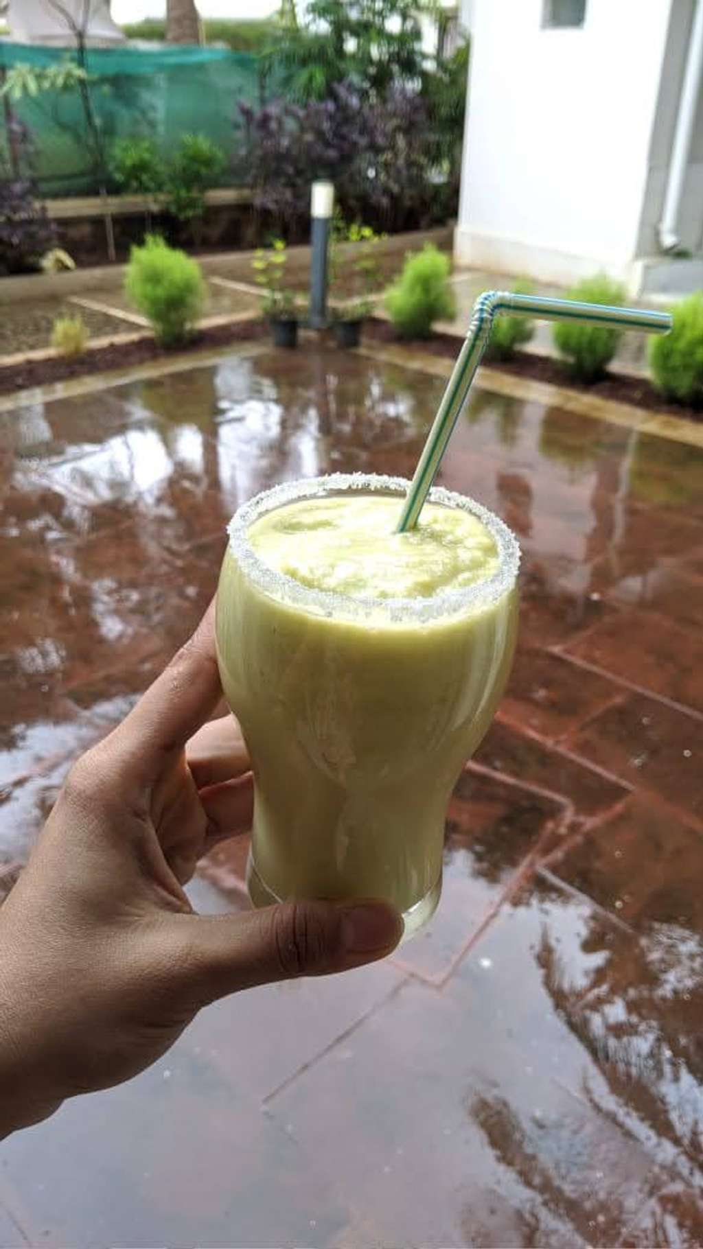 avocado n green apple smoothie