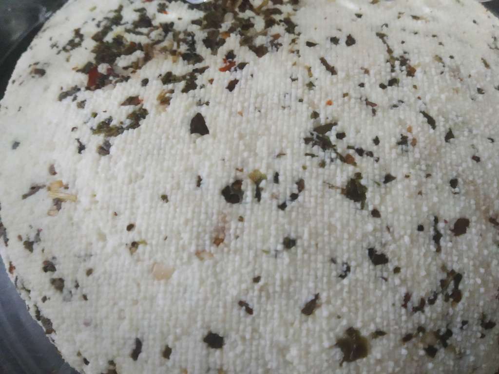 Herb Cottage Cheese