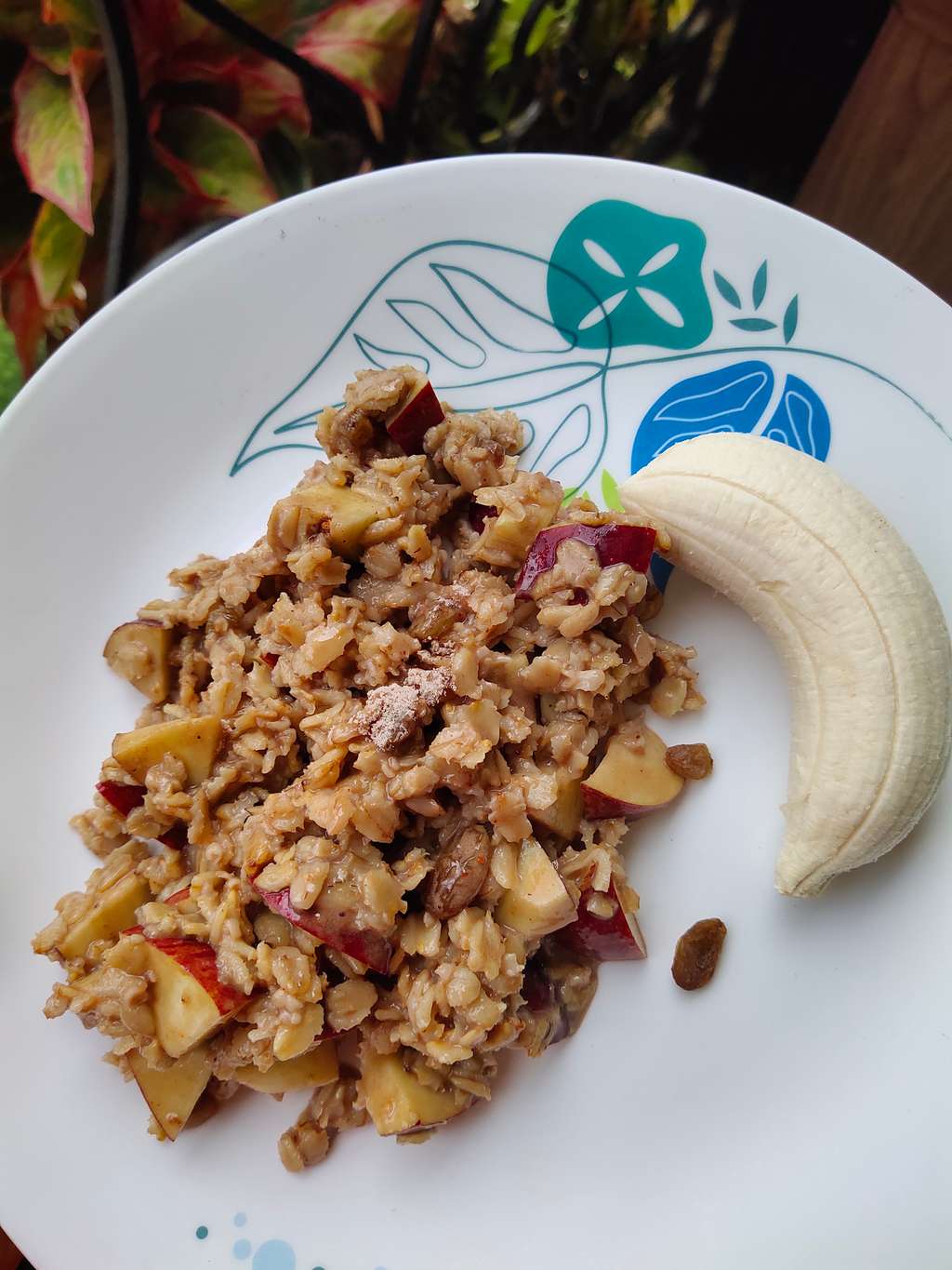 Protien Oatmeal with Fruits