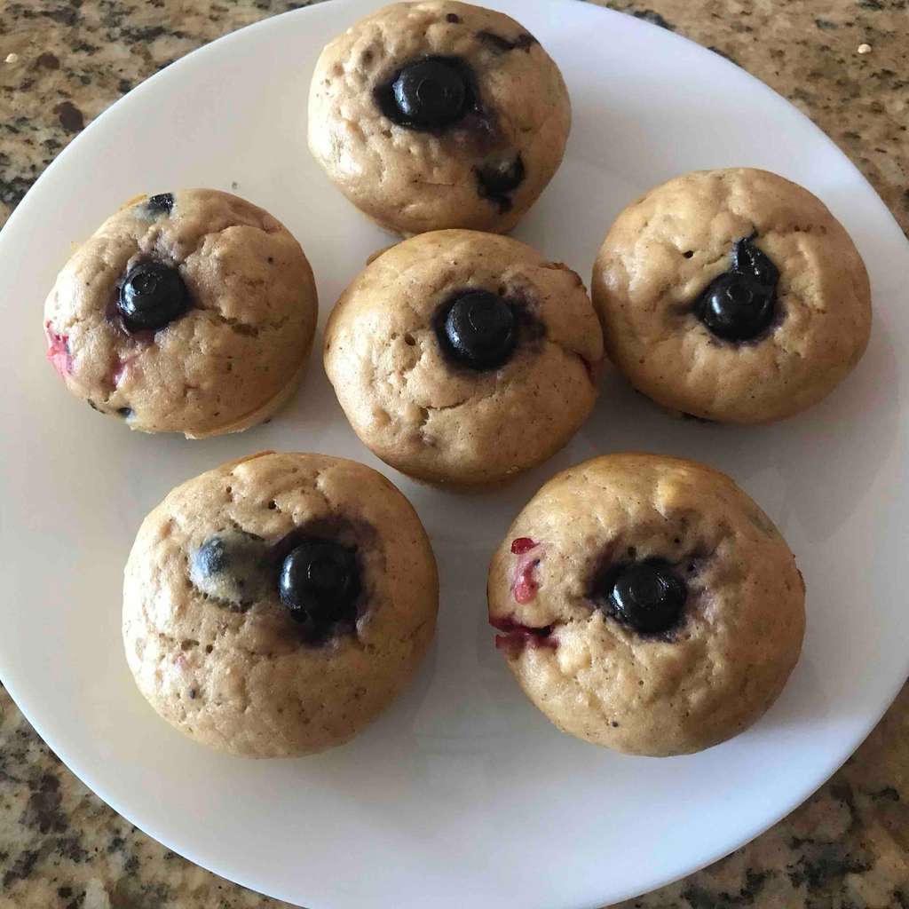 Blueberry Whey Muffin