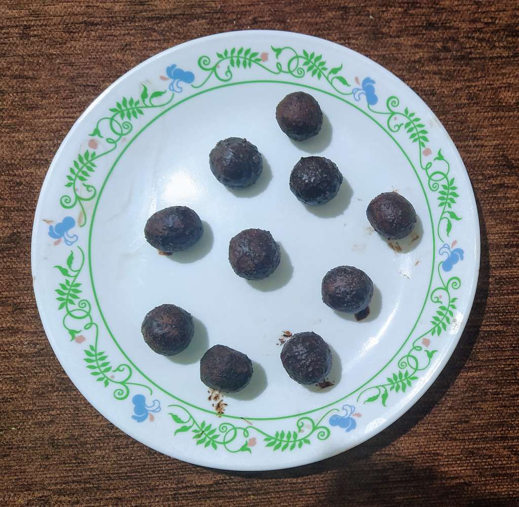 Coco Paneer Balls