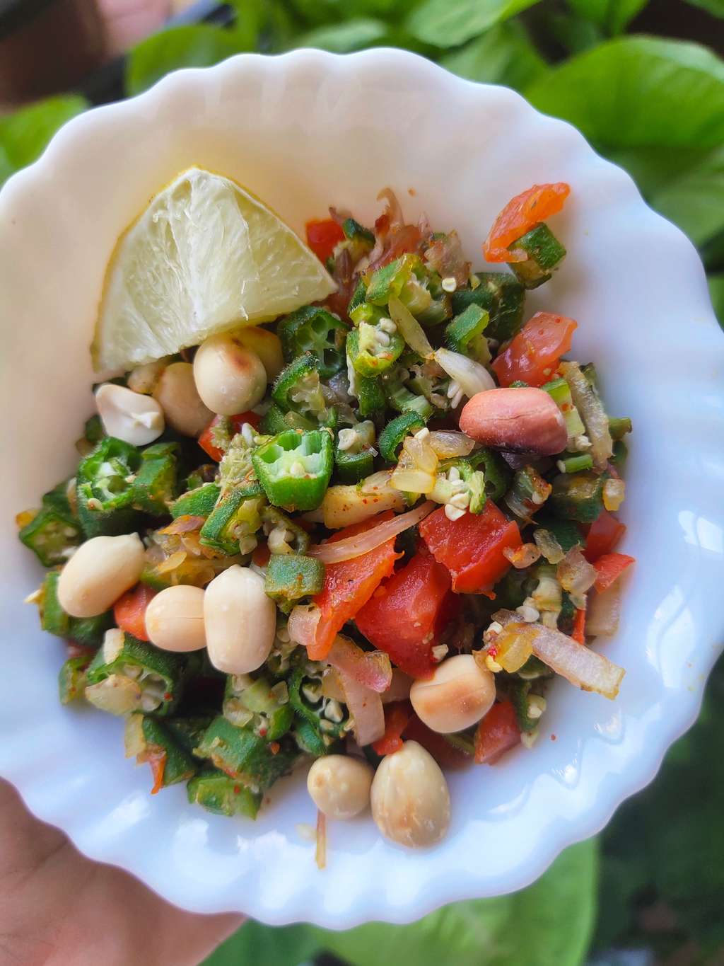 Bhindi Bhel (no oil)