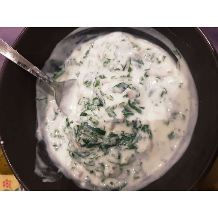 Palak rayta