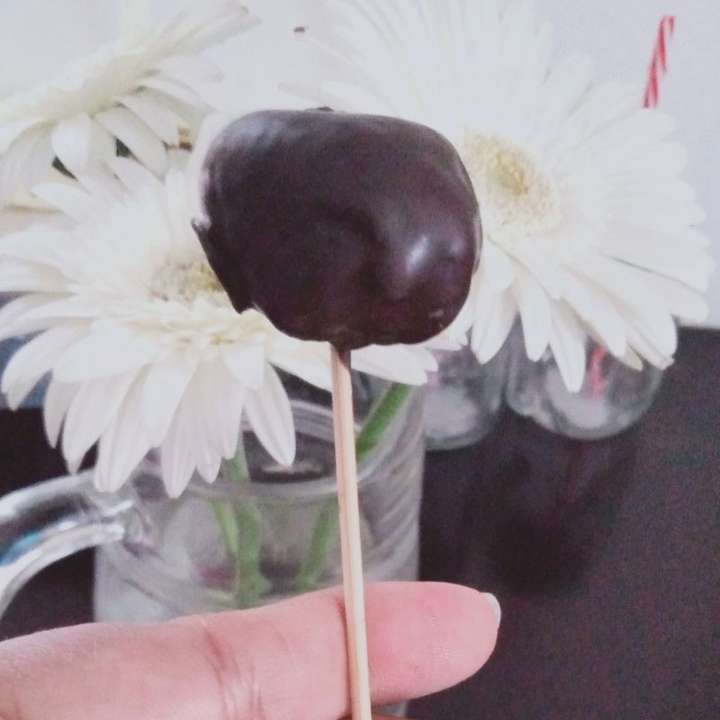 whey coconut pops