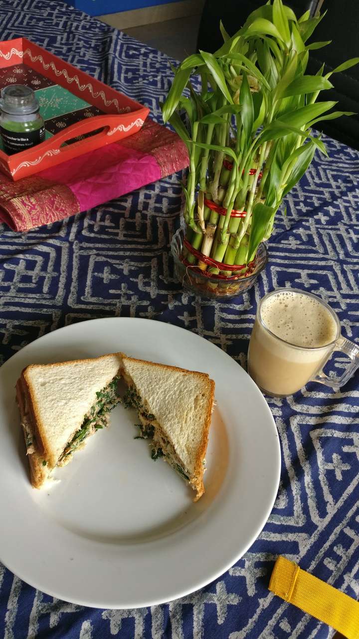 tuna waldrof sandwich