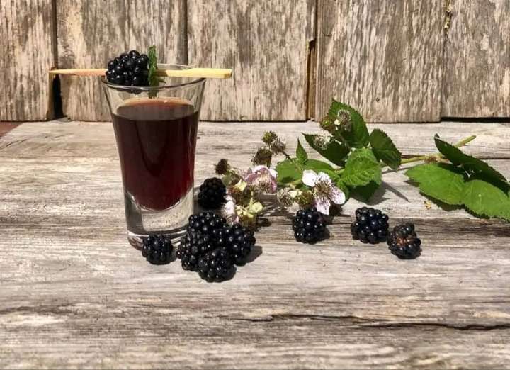 Blackberry Drink