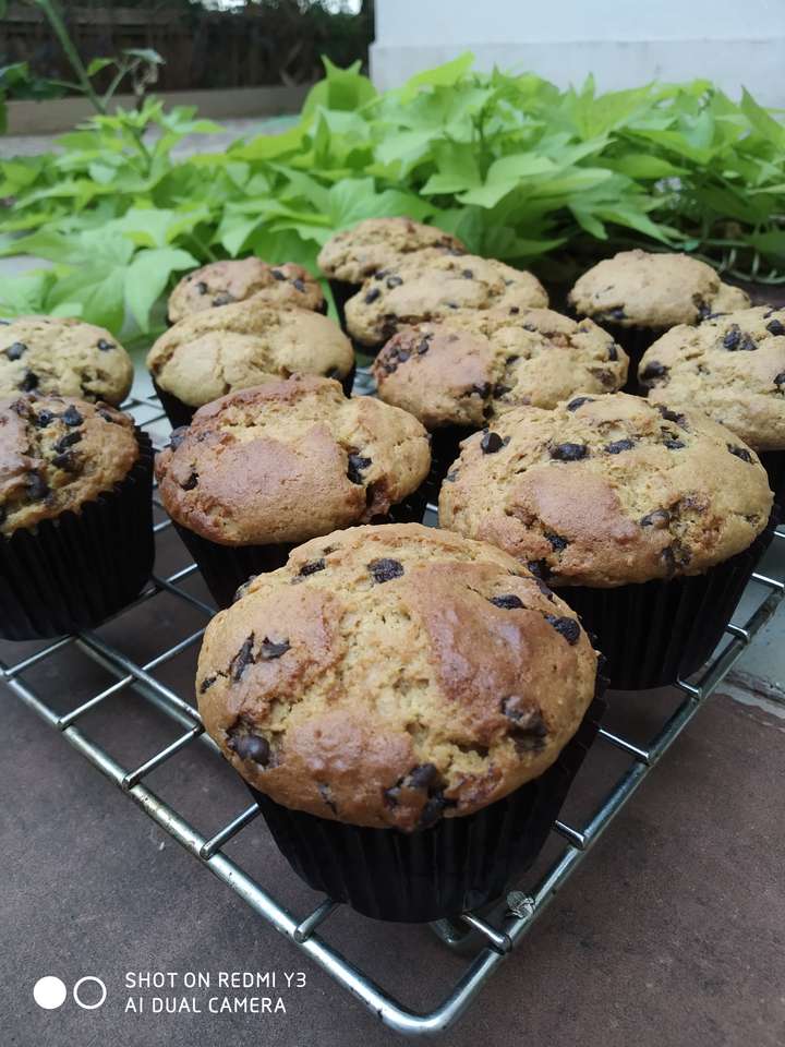 Chocolate chip muffins 🧁